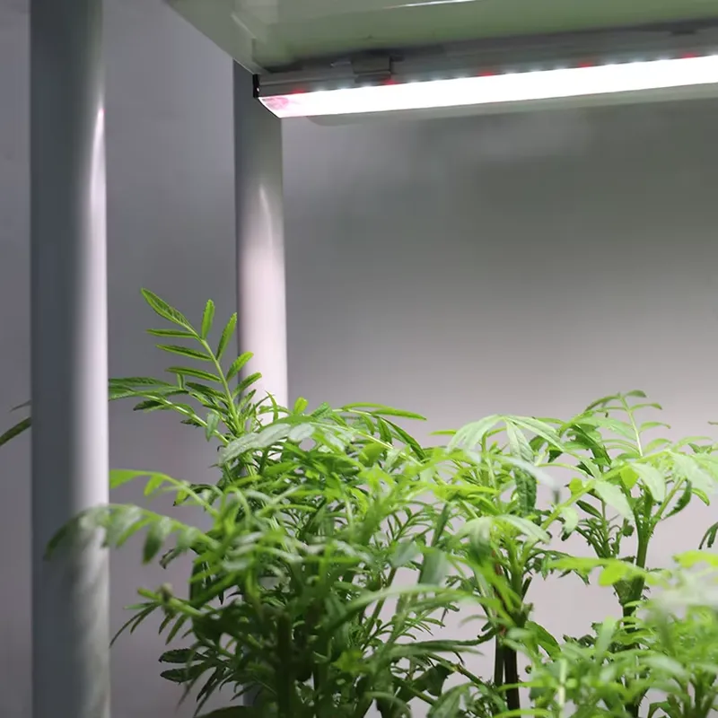 Rak Tanaman Vertikal 3 Tingkat - Self-Watering Planter ulasan dan harga