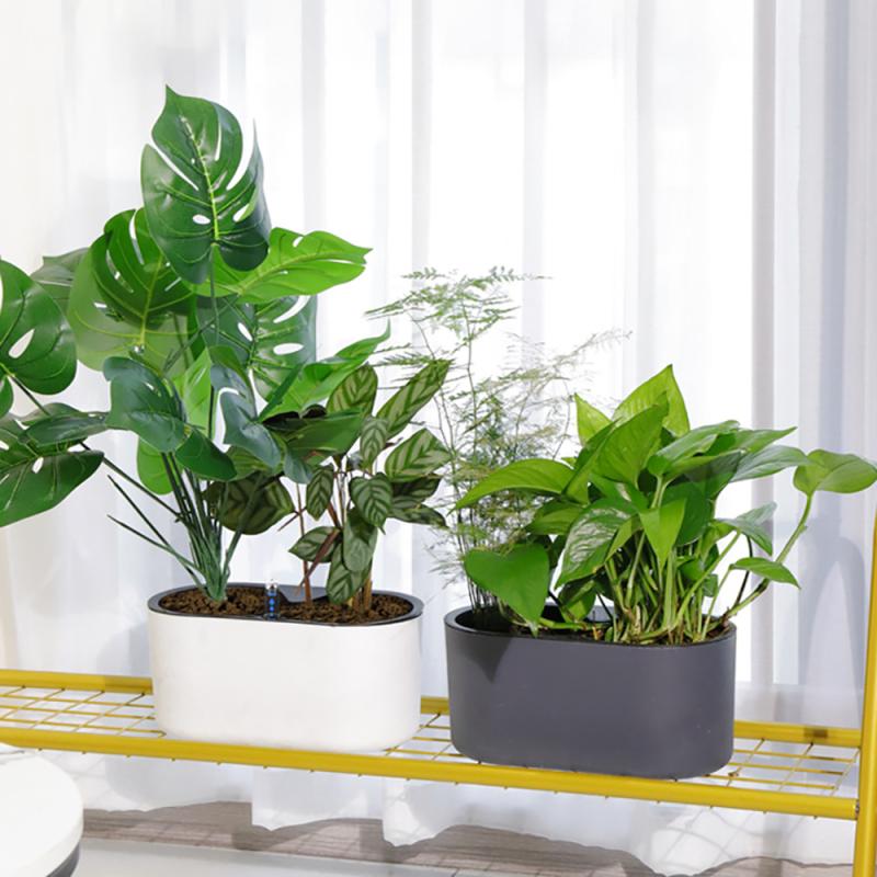 Tanaman Dalam Ruangan dengan I - Automatic Plant Waterer ulasan dan harga